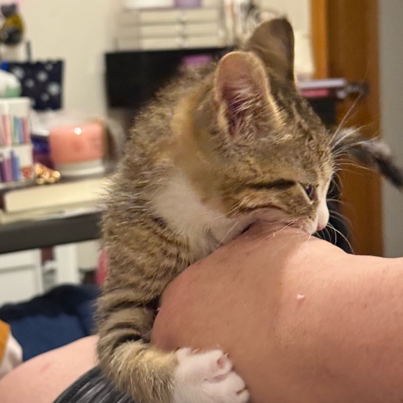 Meet your Posher, Liza - Picture 2 of 16